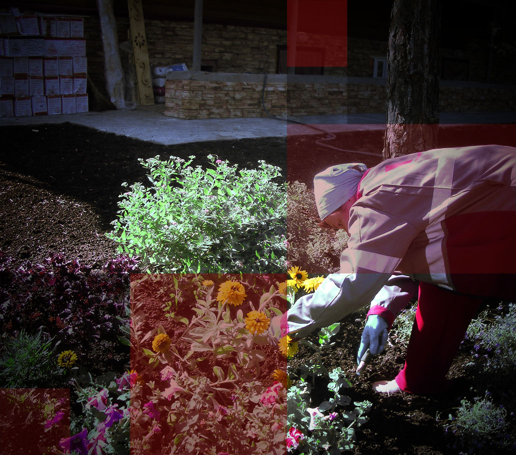 Ландшафтные работы