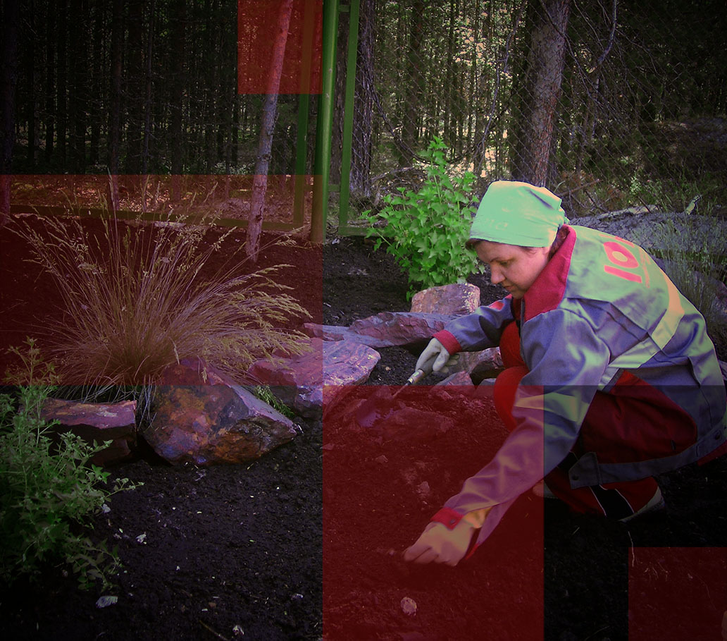 Ландшафтные работы